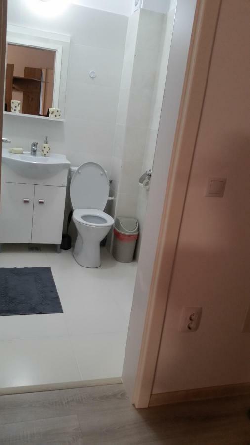 Kolonaki Domus Apartment 雅西 外观 照片