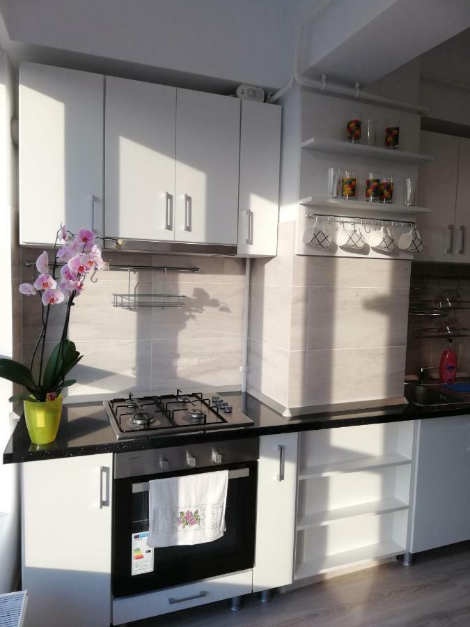 Kolonaki Domus Apartment 雅西 外观 照片