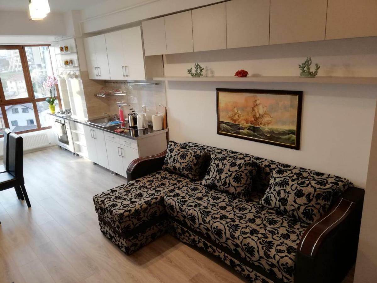 Kolonaki Domus Apartment 雅西 外观 照片